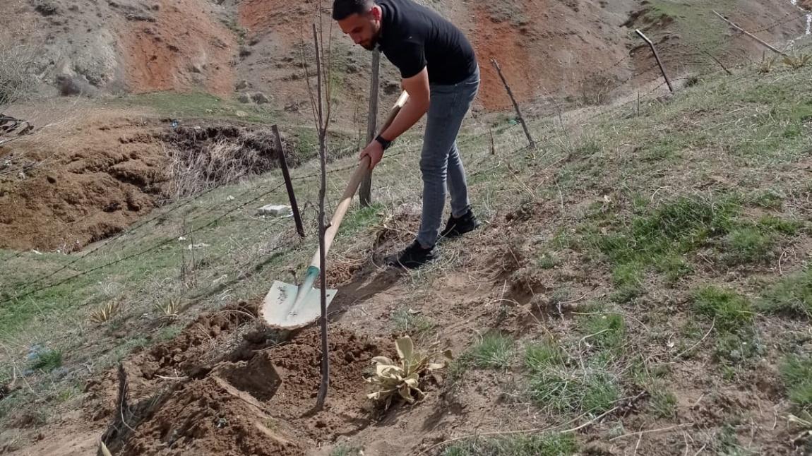 Ağaç dikme etkinliğimizden...